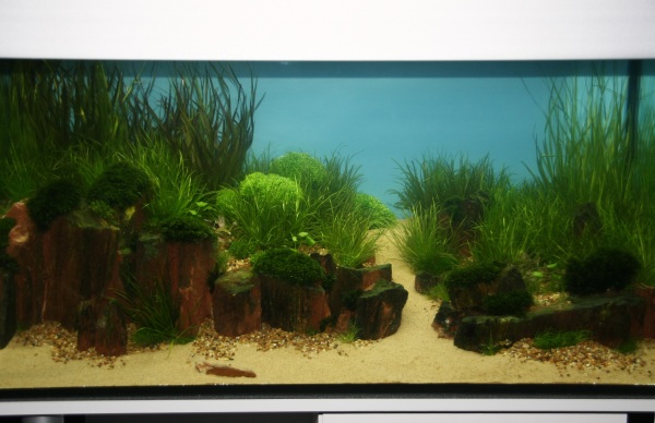 ABF Diverses      023.jpg